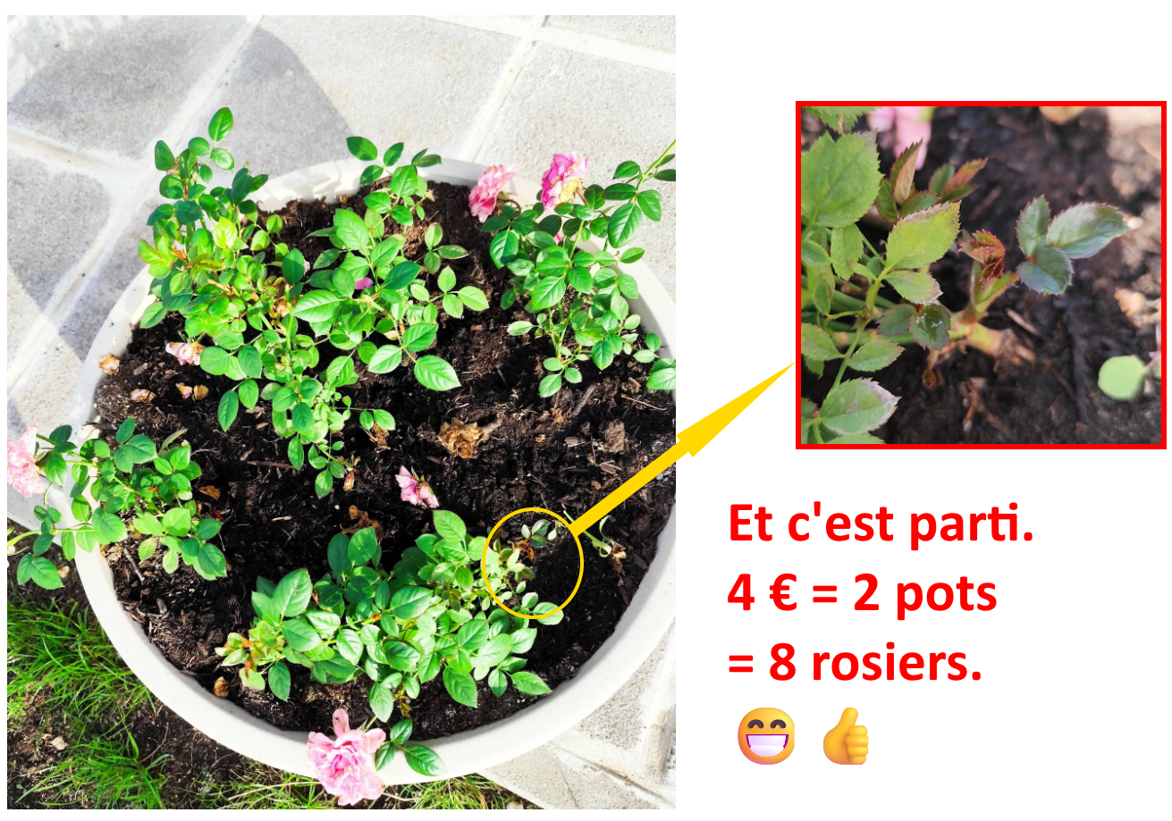Un vasque pas chère une vasque pas chère